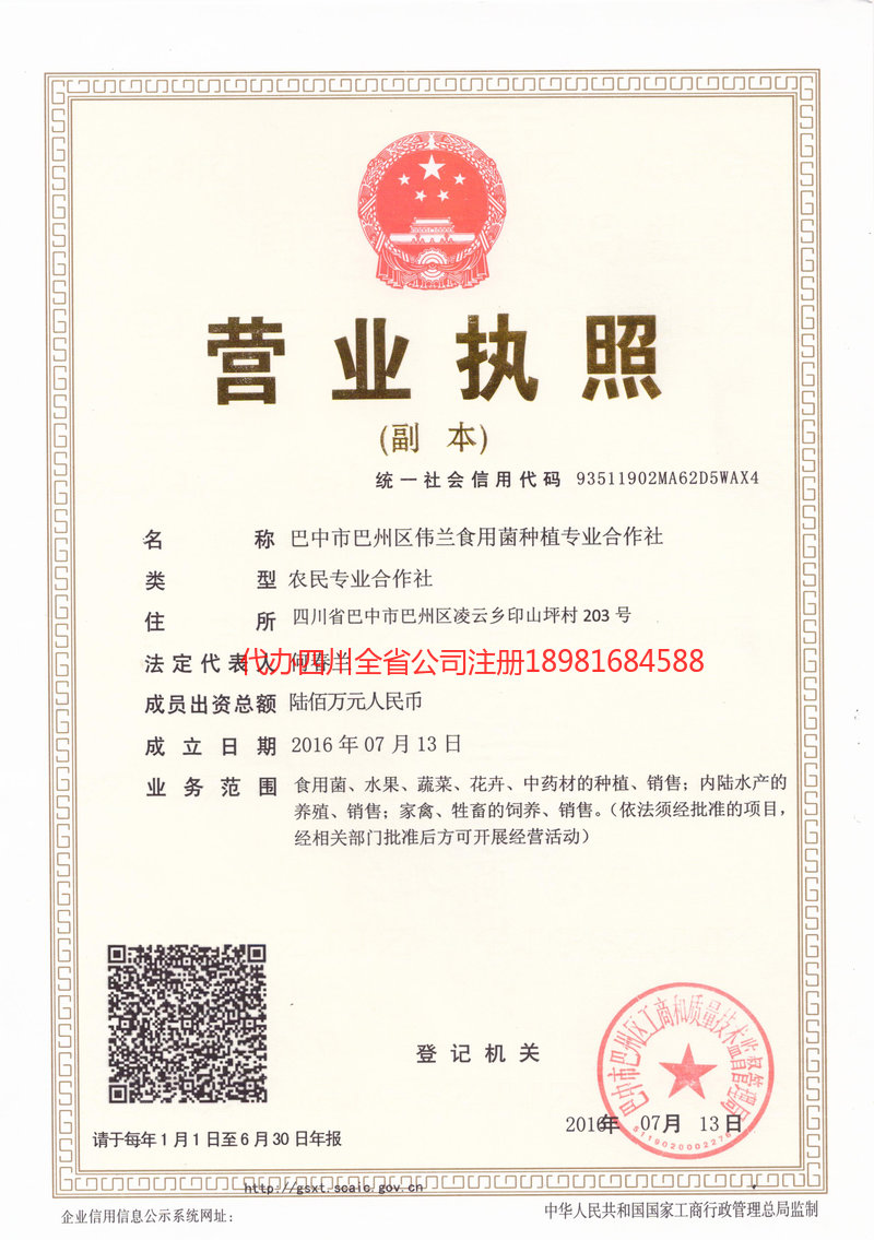 福鼎福鼎伟兰食用菌种植专业合作社